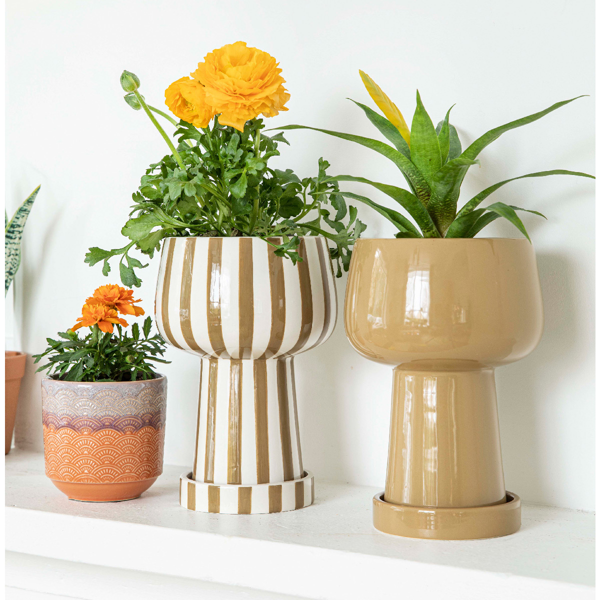 Saksija od porcelana 850723