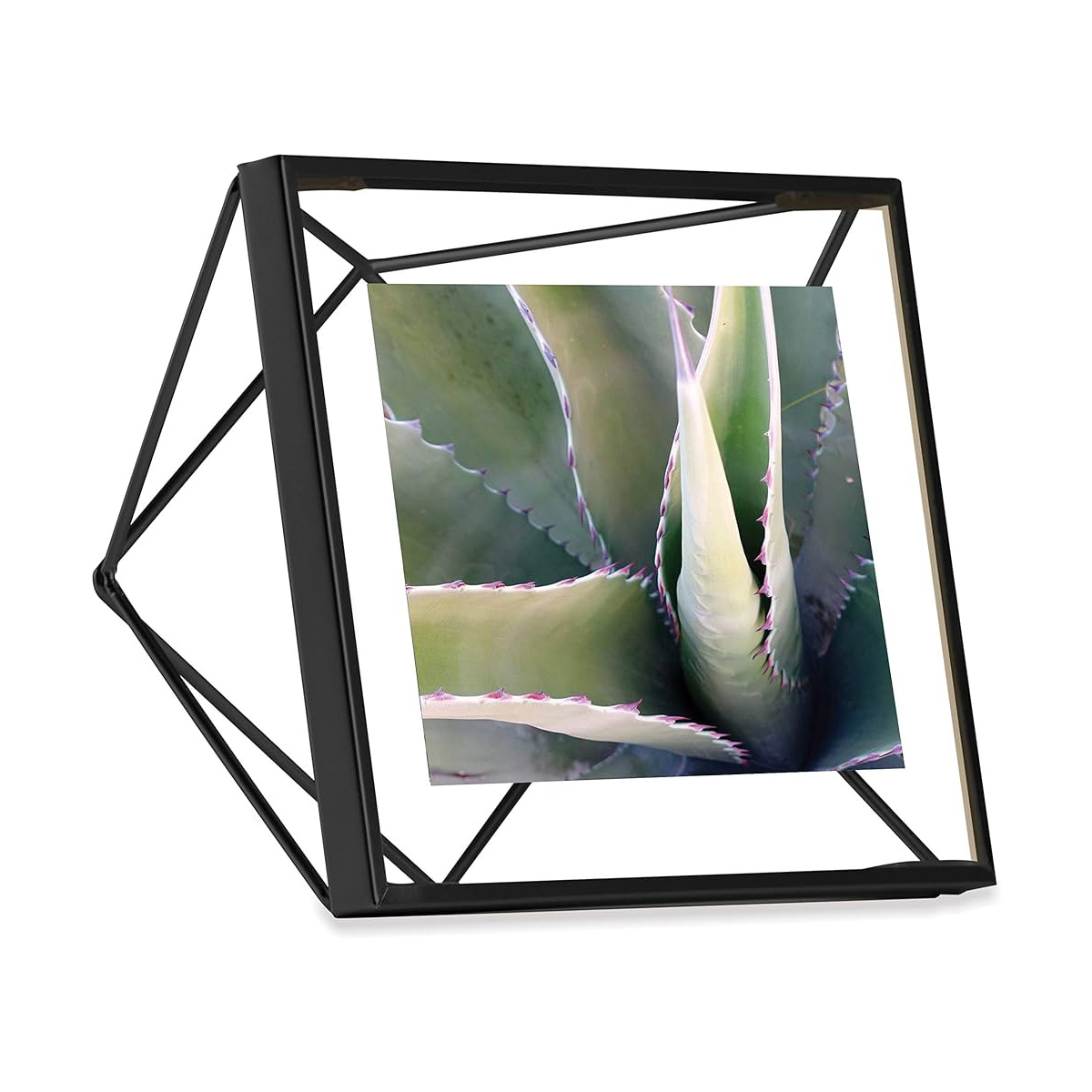 Ram za slike Prisma 313017-040