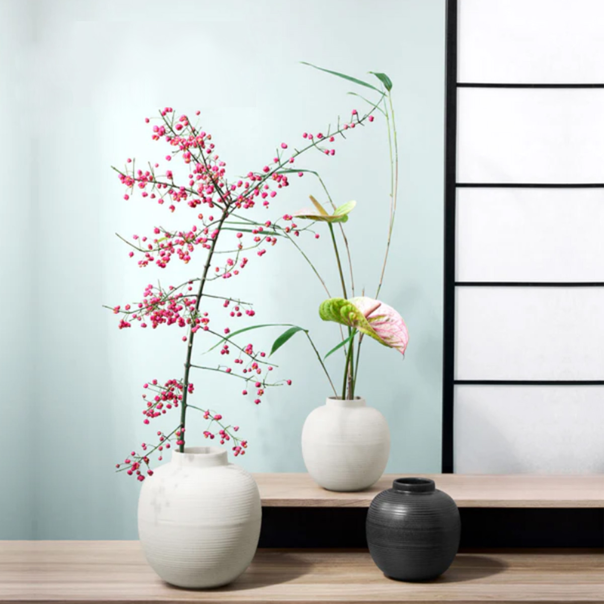 Vaza soft shell 73004249 