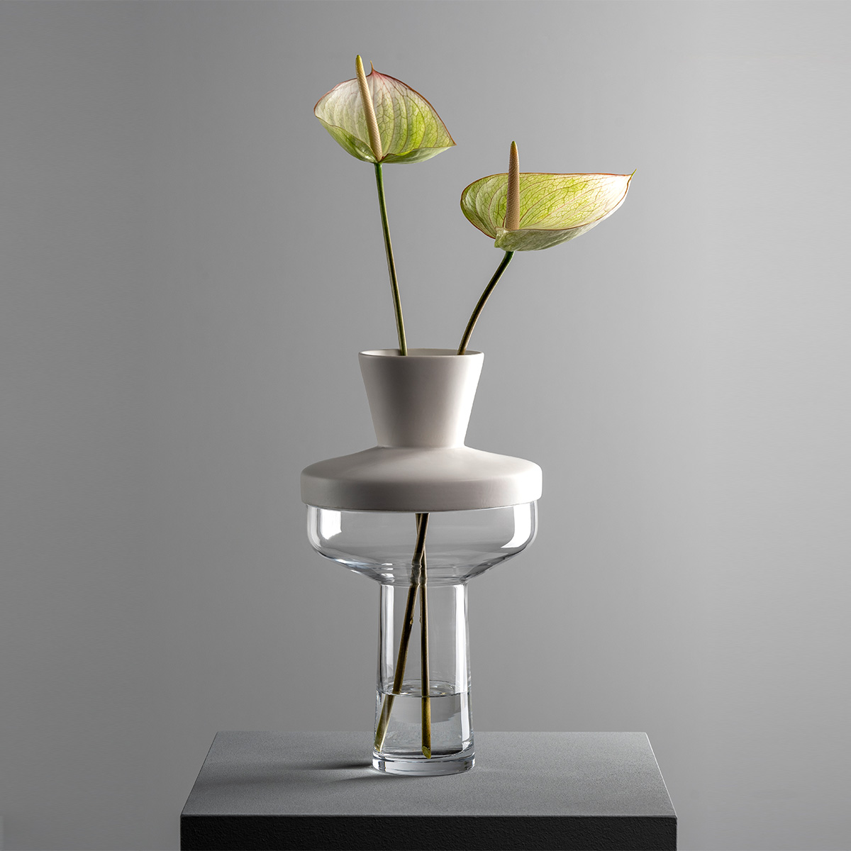 Vaza sa poklopcem RIVA 55268 