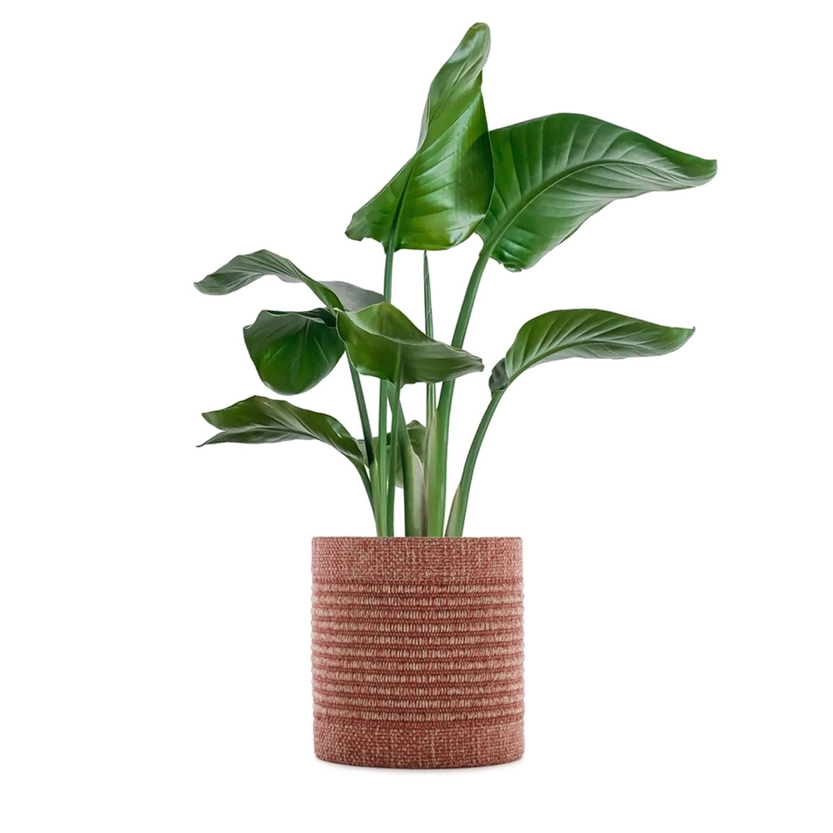 Tepih KLEO 2373/R1 140x30 