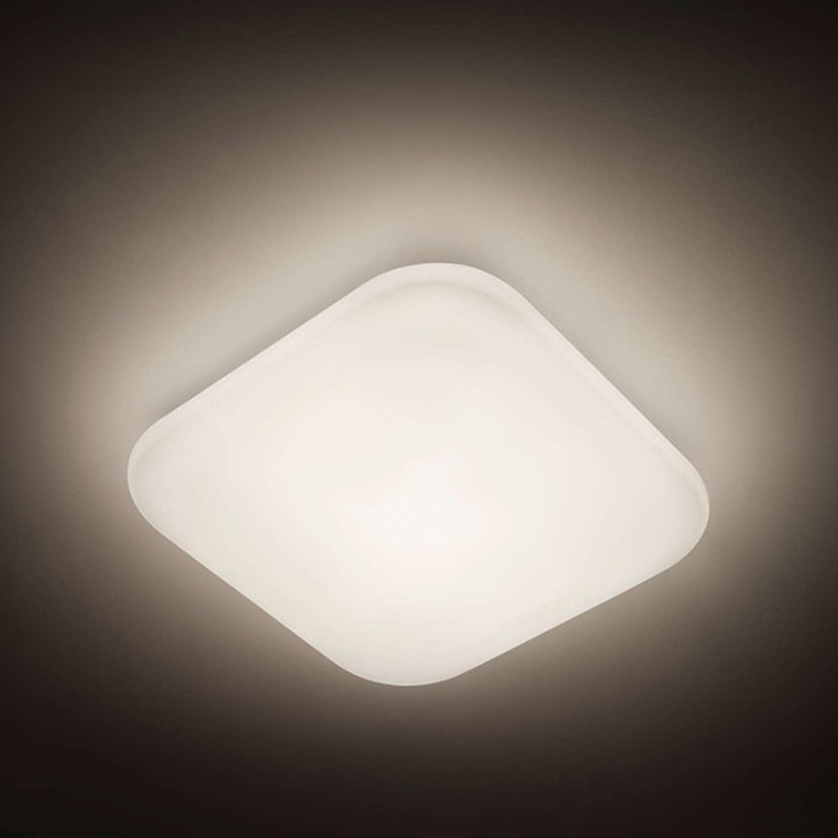 LED PLAFONJERA MAUVE 1x17W 31110/31/P3