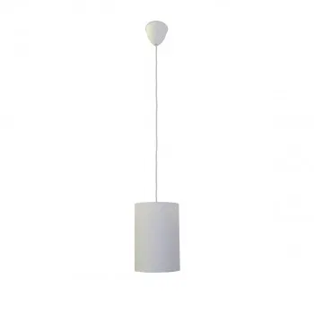 VISILICA V-NL-0520/17 