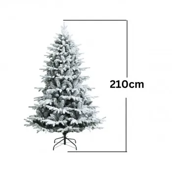 Snežna jelka NG2202A-527 Grandis 210 