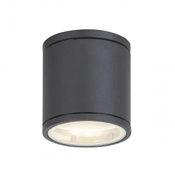 Plafonska lampa Akron 8150 siva 