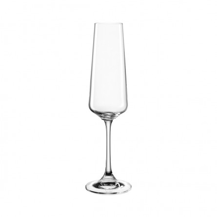 Čaša za šampanjac 66309 220ml PALADINO 