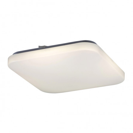 Plafonjera ROB 2287 