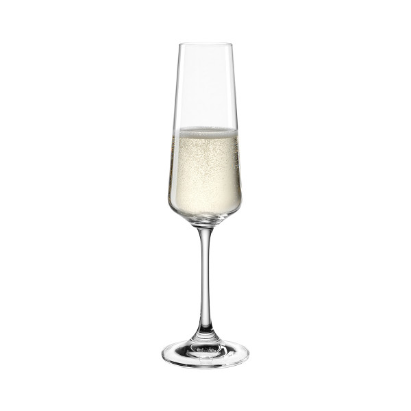 Čaša za šampanjac 66309 220ml PALADINO
