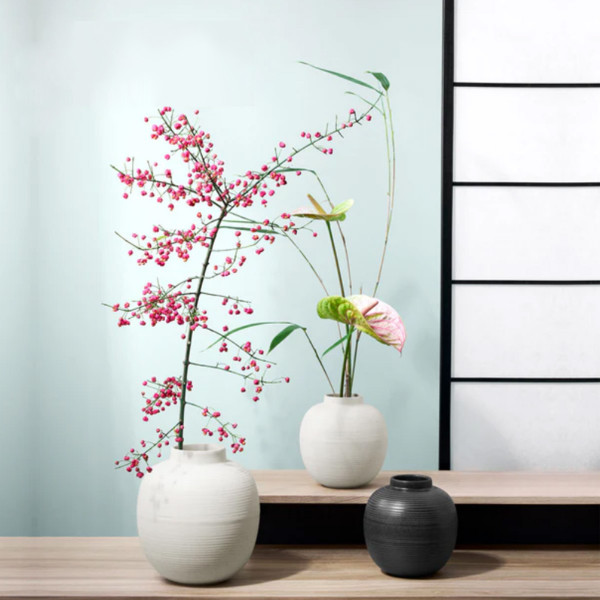 Vaza soft shell 73003249 