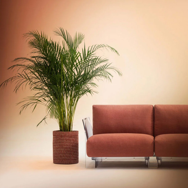 Tepih KLEO 2373/R1 140x30 