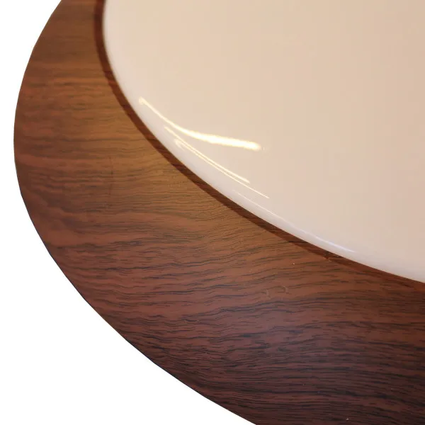 LED plafonjera 30W MUS-002