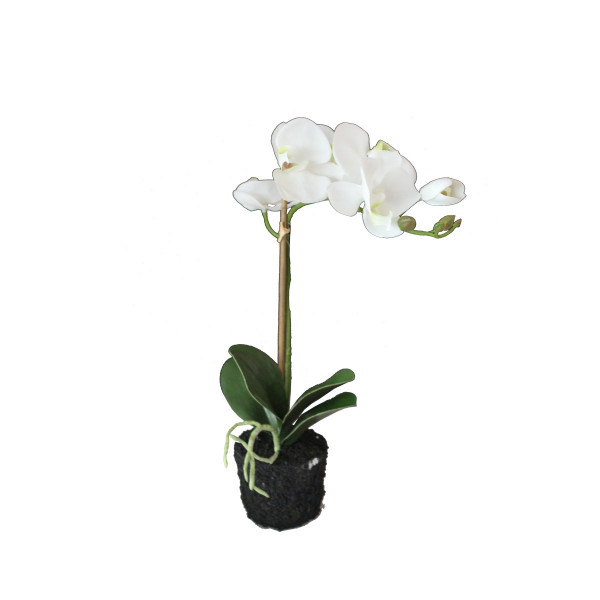 65856 Orhideja Vestacka U Keramickoj Saksiji 80cm