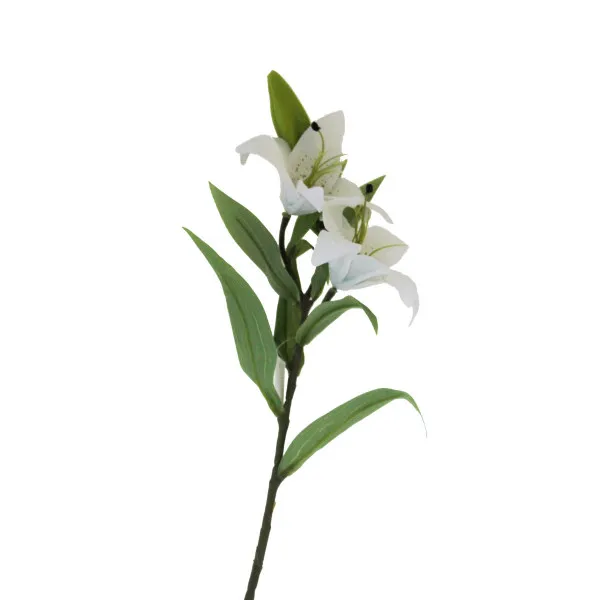 Vestački cvet - ljiljan MUS-233 