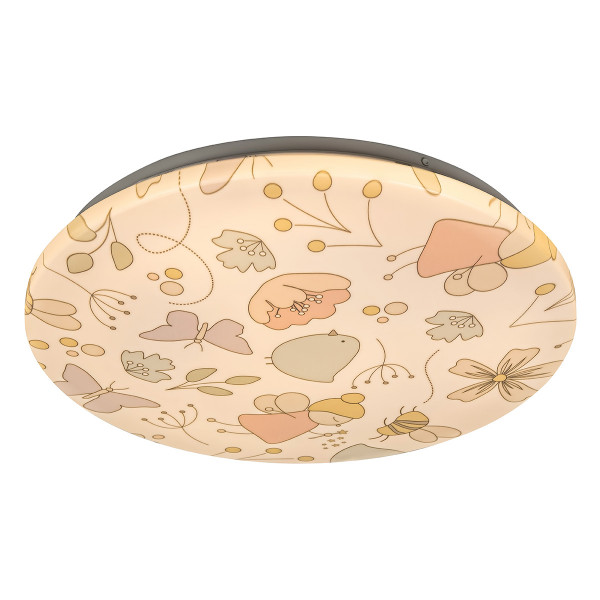 Led plafonjera Hanka 3416
