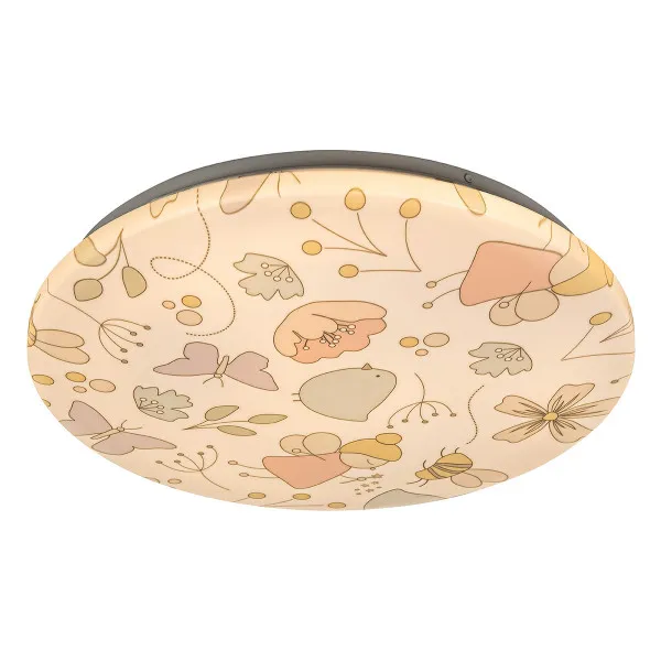 Led plafonjera Hanka 3416