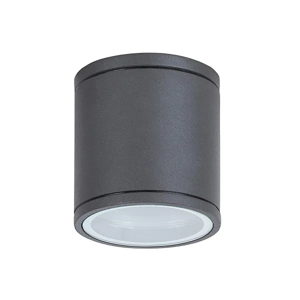 Plafonska lampa Akron 8150 siva 