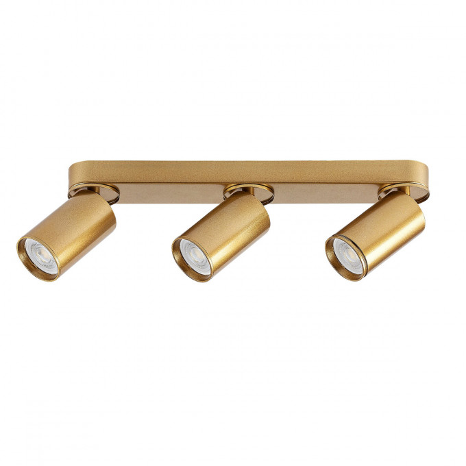 Plafonska lampa MIRINA 73077 