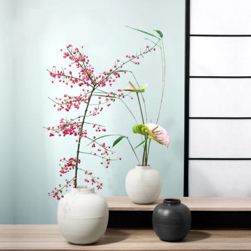 Vaza soft shell 73003249 