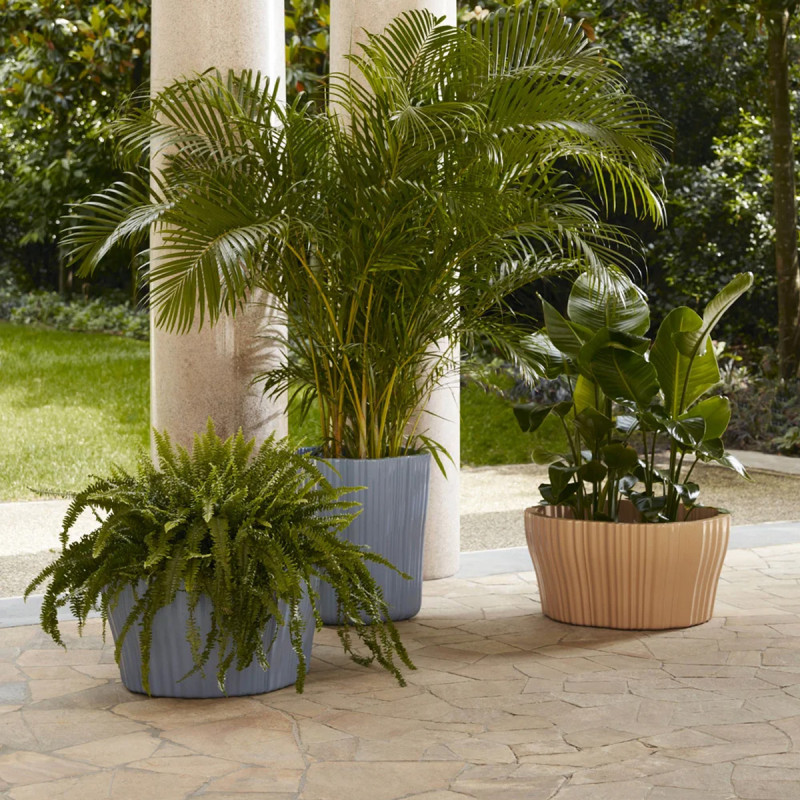 Stočić CORTEZA  5224/AN 