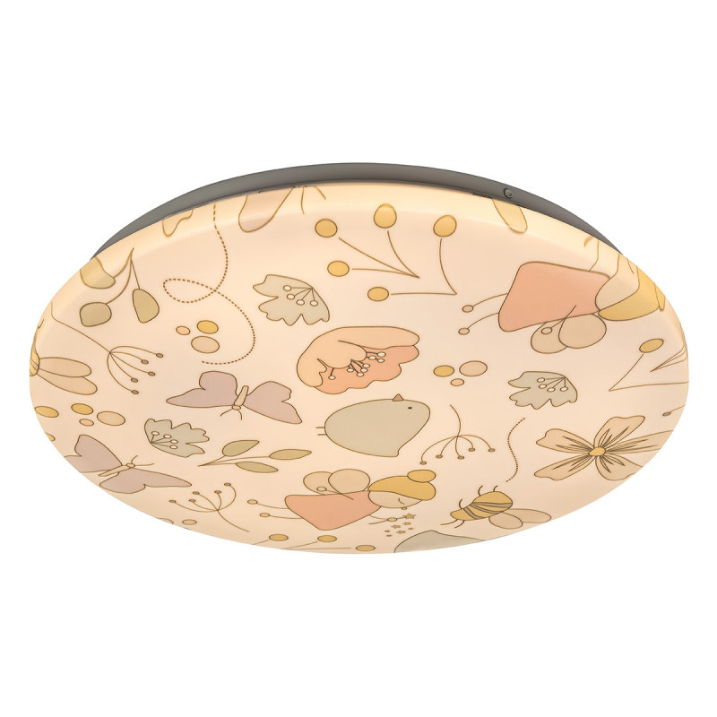 Led plafonjera Hanka 3416